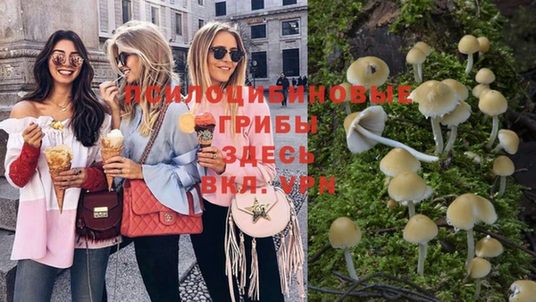 скорость Белокуриха