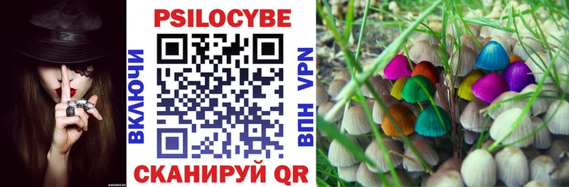 Псилоцибиновые грибы MAGIC MUSHROOMS  дарнет шоп  OMG онион  Славгород 