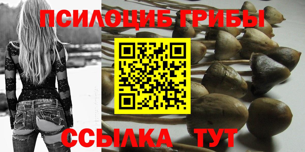 Галлюциногенные грибы Psilocybine cubensis  Вход с VPN  Славгород 