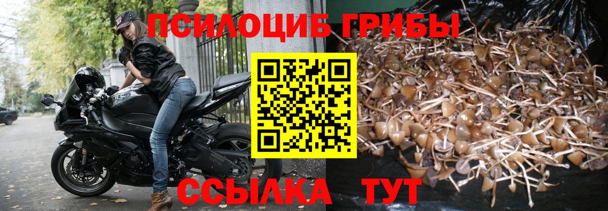 Галлюциногенные грибы Cubensis Славгород